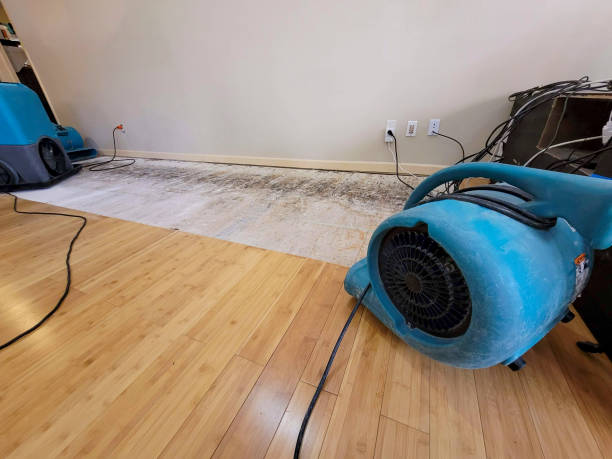Professional Flood Damage Cleanup technician working in Glenbrook, NV